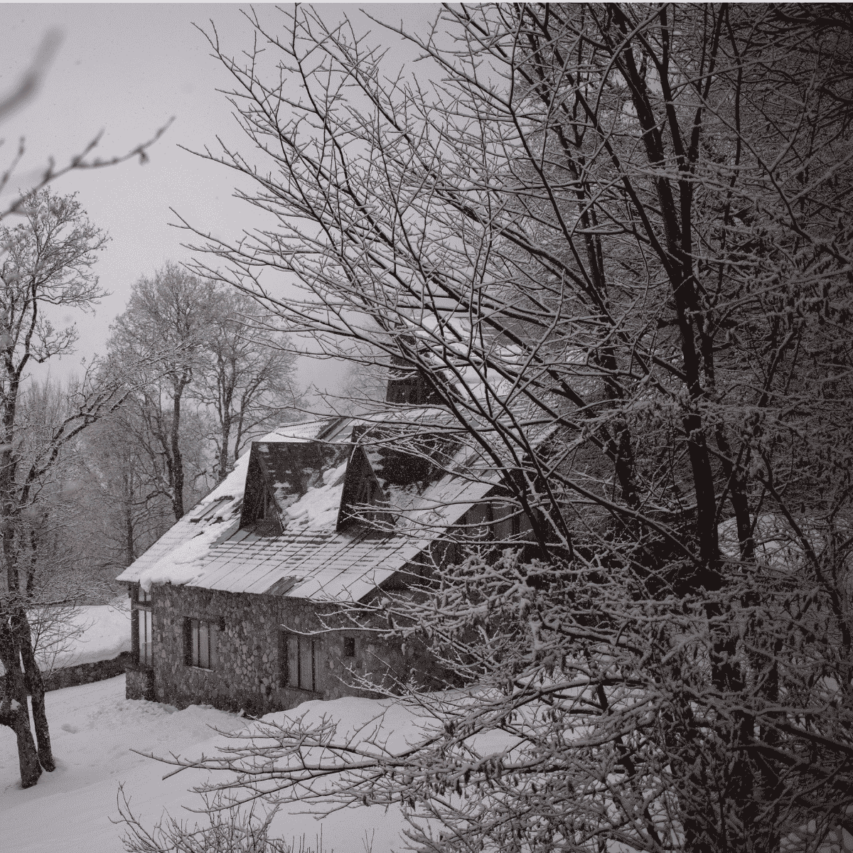 propiedades en la nieve
