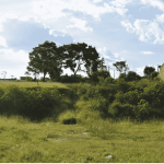 contribuiciones sitio eriazo